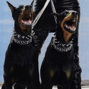 片大富婆少妇高级私人会所大片
