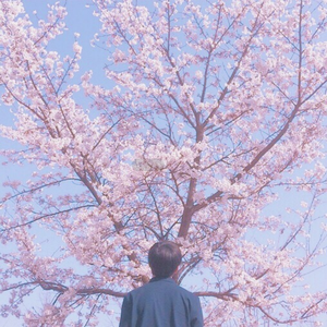 片大富婆少妇高级私人会所大片
